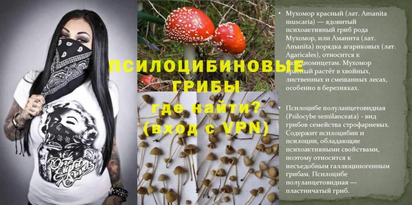 крисы Арсеньев