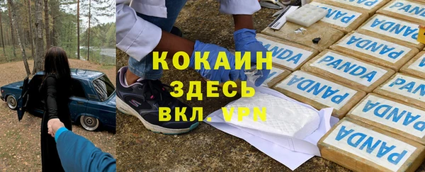 дживик Армянск